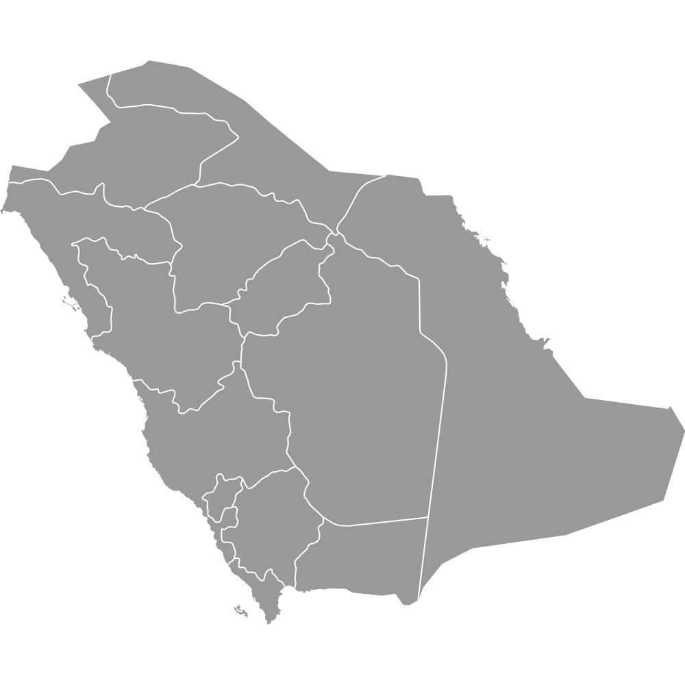 Preview of Saudi Arabia — Provinces
