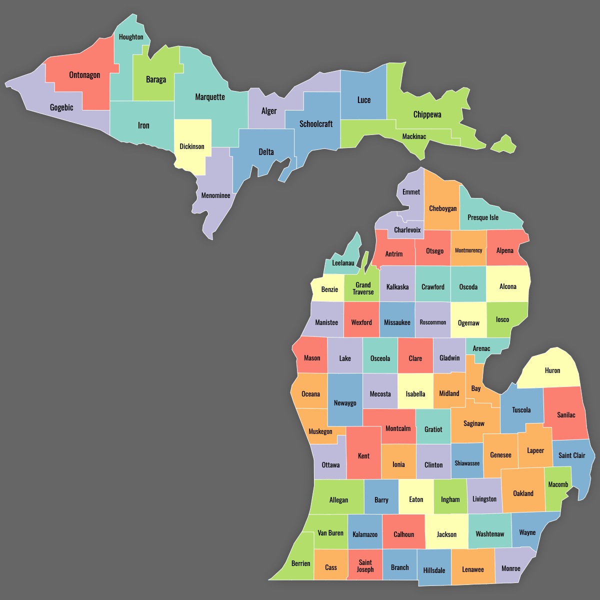 Custom Map of Michigan Counties With Labels